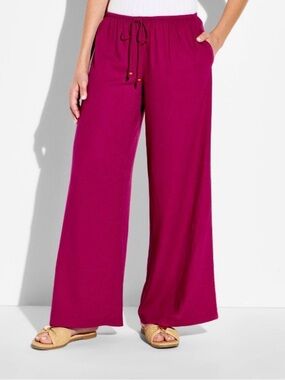 wild fable Magenta Wide-Leg Drawstring Pants